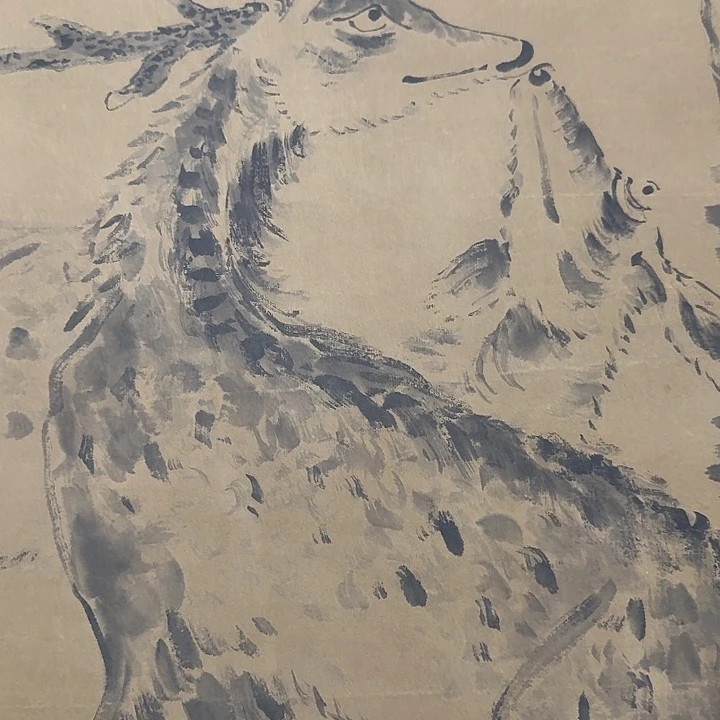@*花鸟图挂画，花鸟图