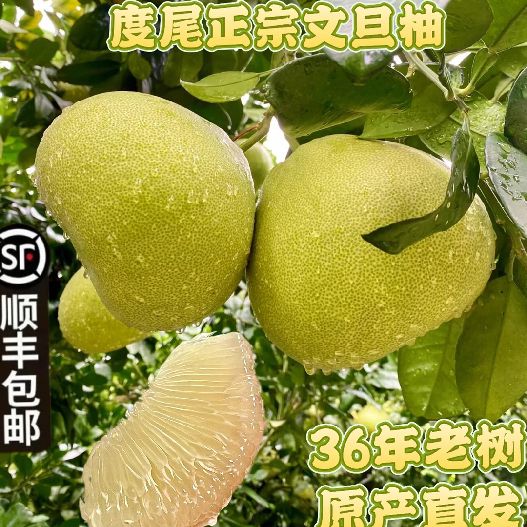 正宗福建仙游度尾文旦柚红心老树柚当季新鲜水果