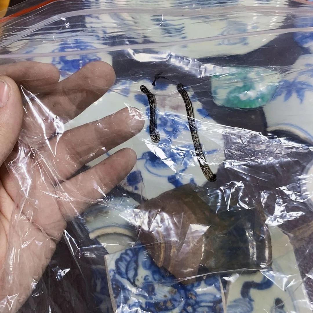 金铜精品瓷片标本