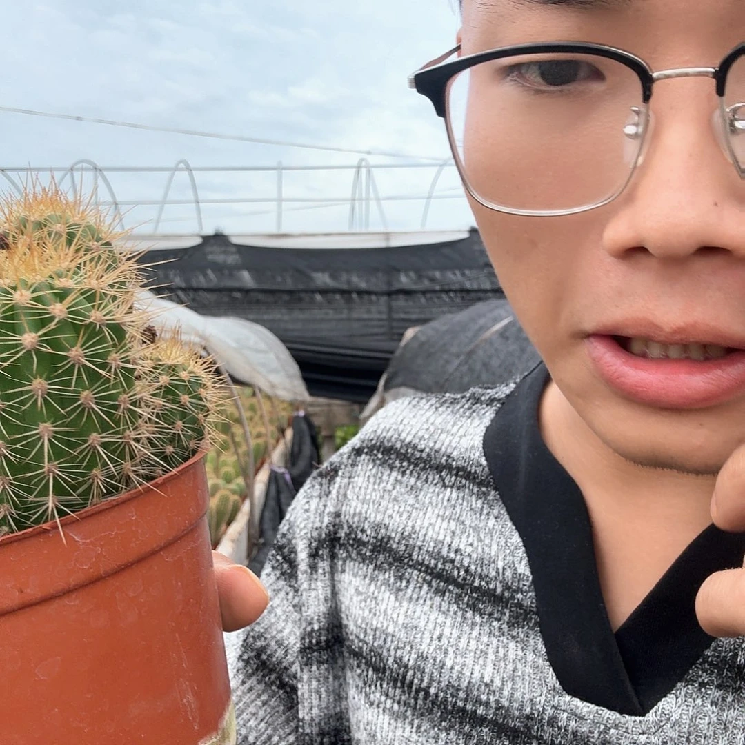 天****无花朵荣耀哈哈哈哈哈哈