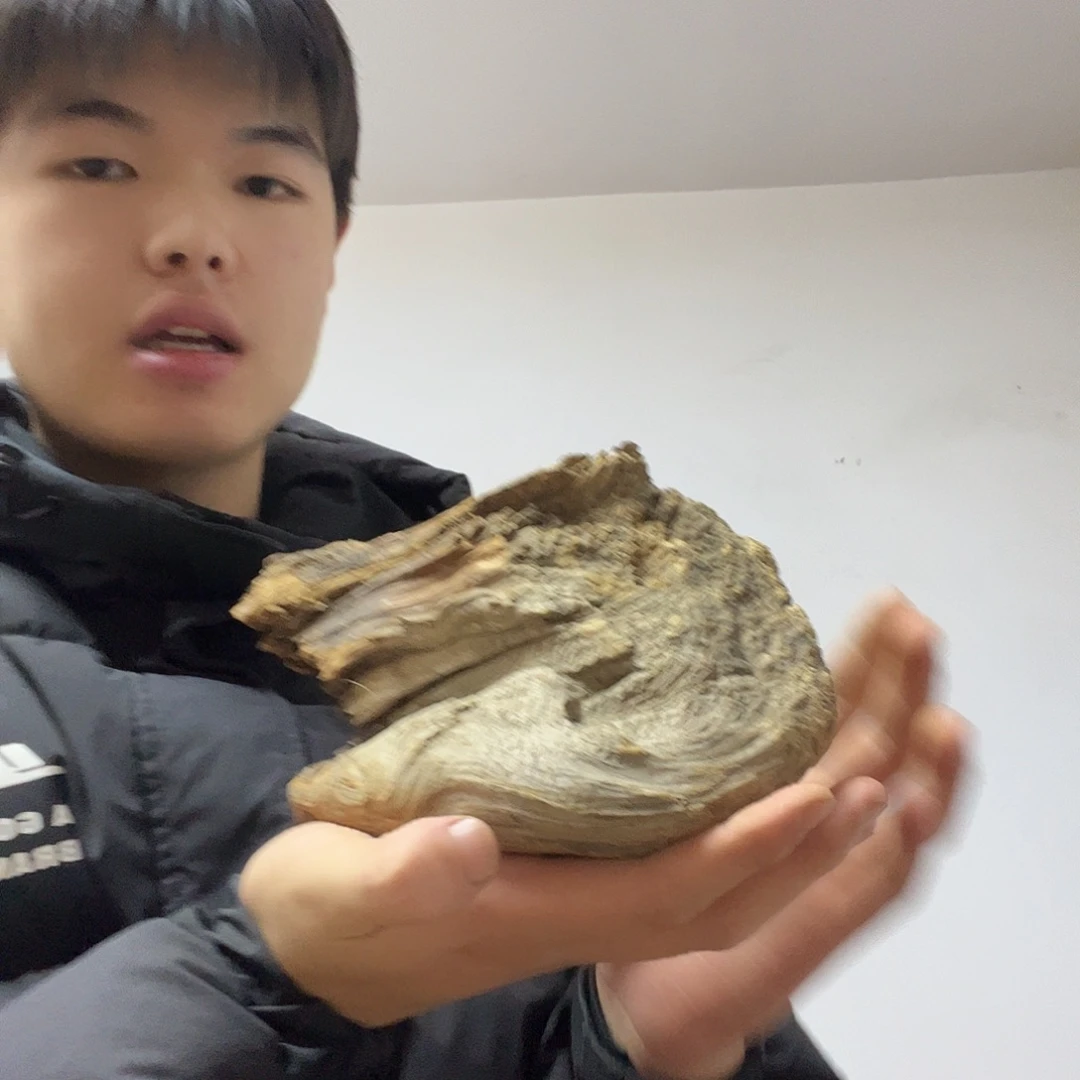 手***人柏木（崖柏）我在想你的人怎么都