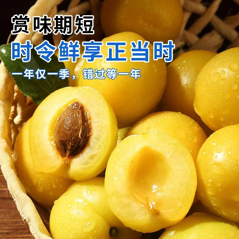 【京东空运】新疆小白杏当季现摘现发新鲜水果软糯香甜多汁产地直发