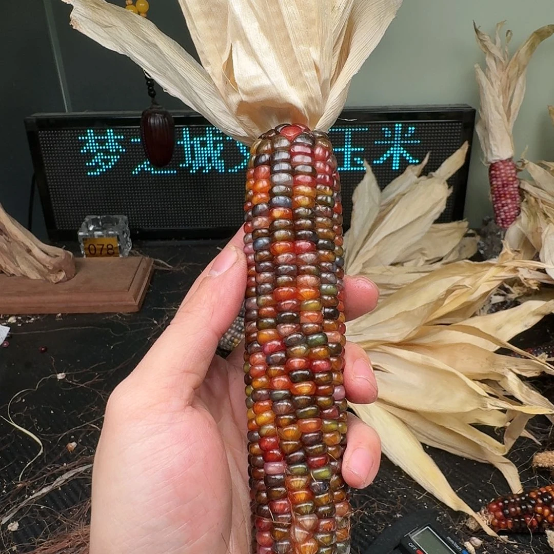 柏香籽/百香籽吊坠米*