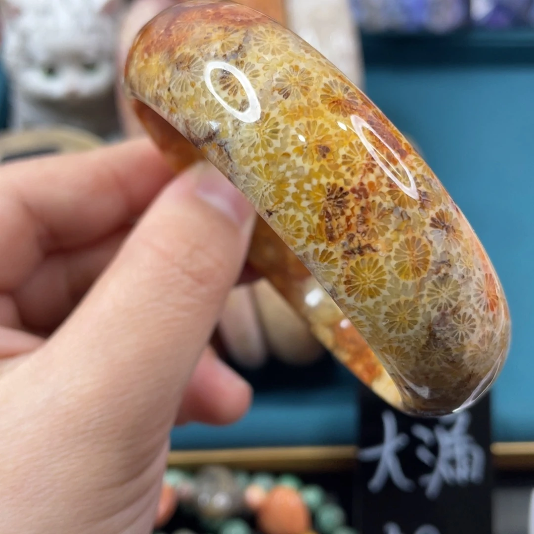 未镶嵌手镯硅化玉
