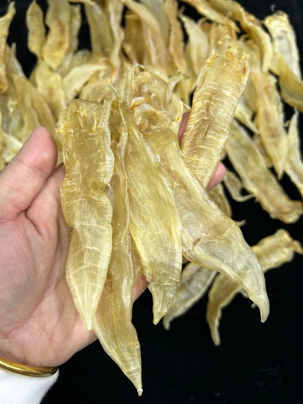 汕头南澳 深海水晶鳘鱼胶老胶煲汤胶软糯多胶 250g/500g