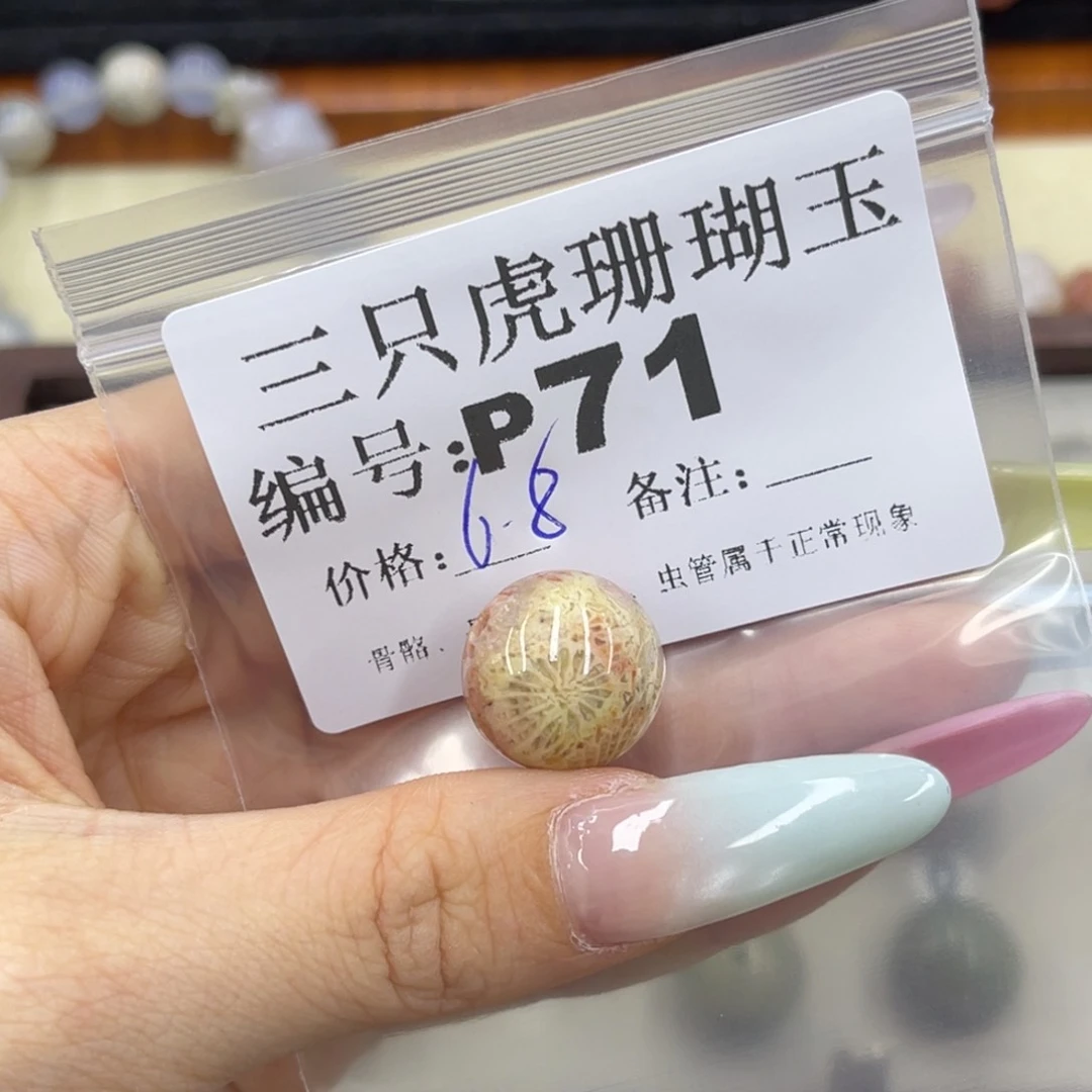 吃***茶硅化珊瑚（珊瑚玉）h未镶嵌
