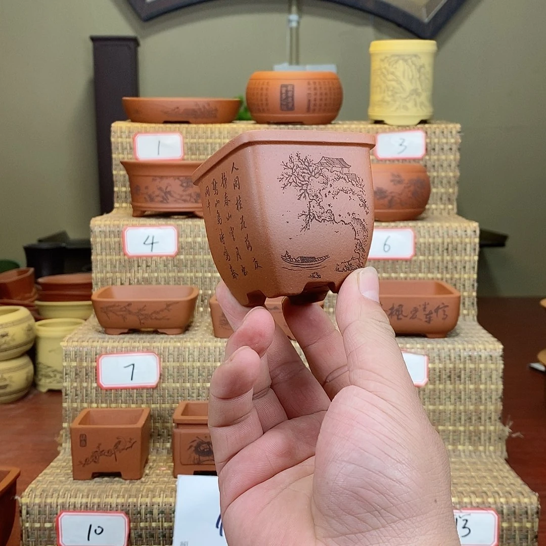 紫砂花盆你也不接