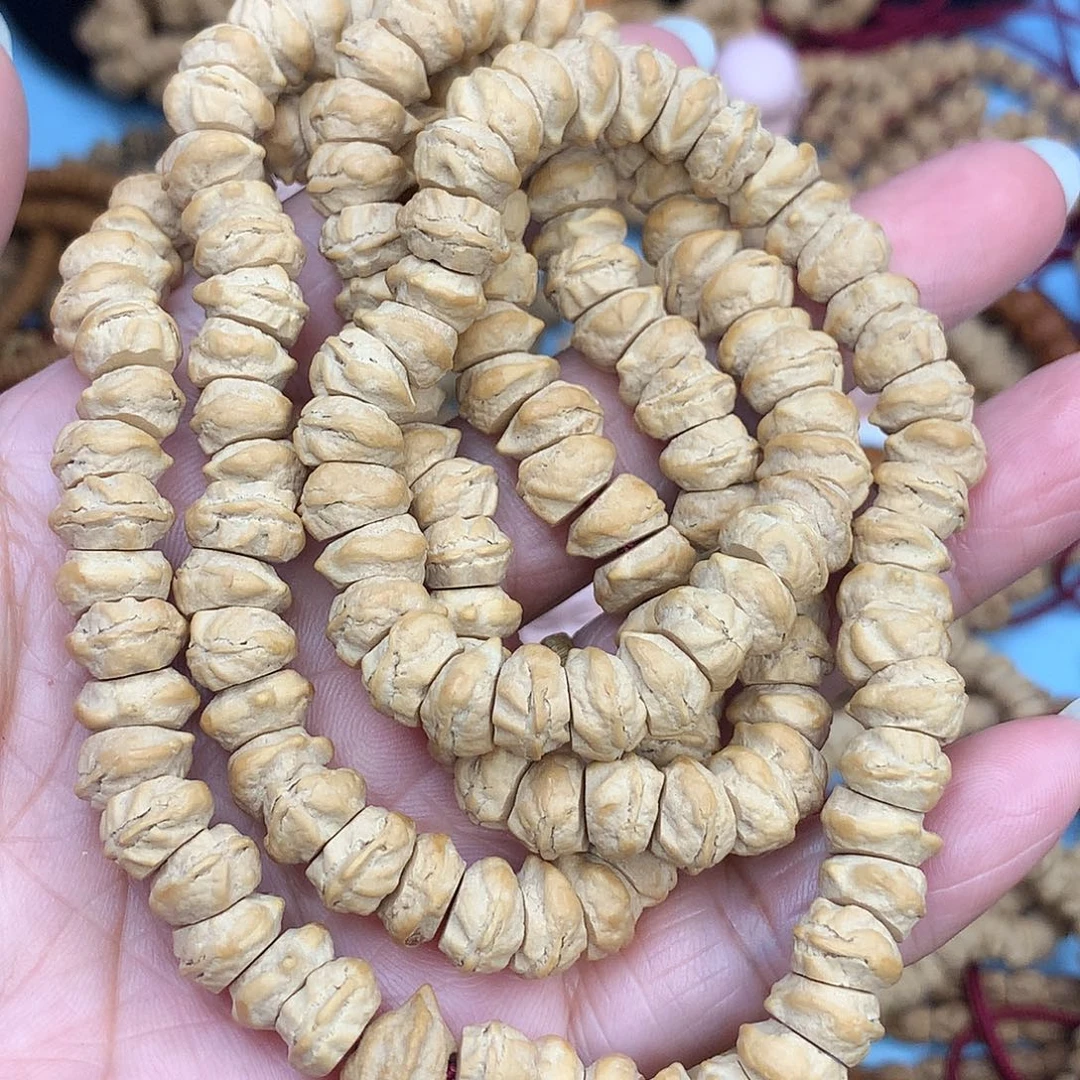 口**糖藏切白芽栢香籽