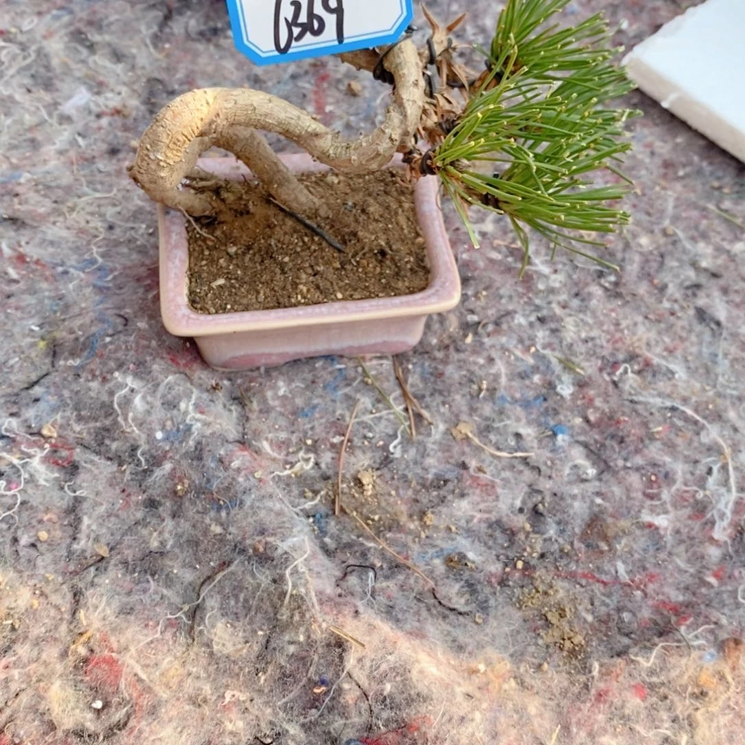 手工艺品琉璃清**律