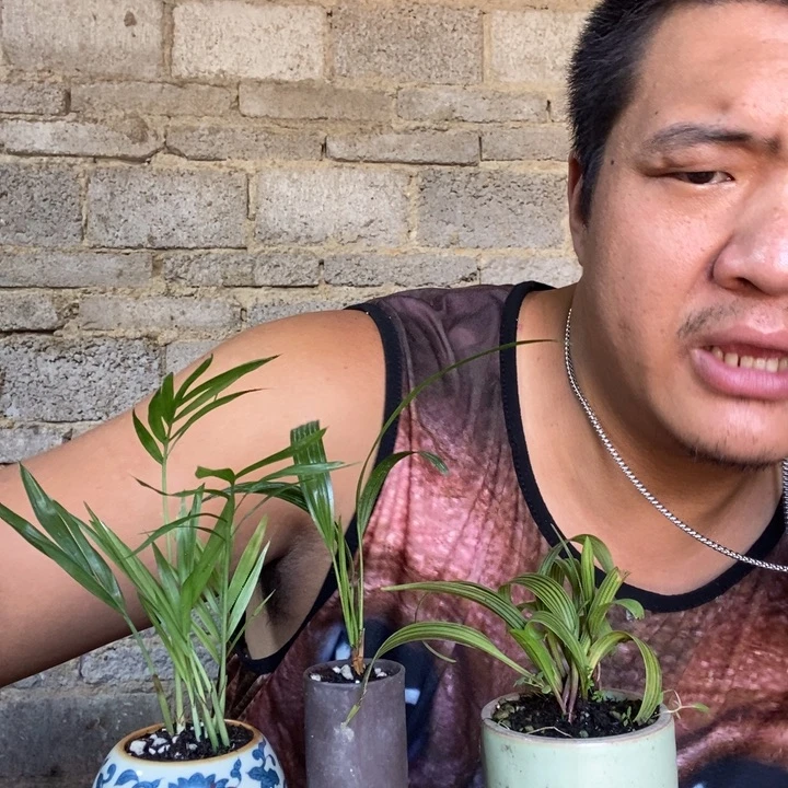 完全开放退款拉黑一物一拍113