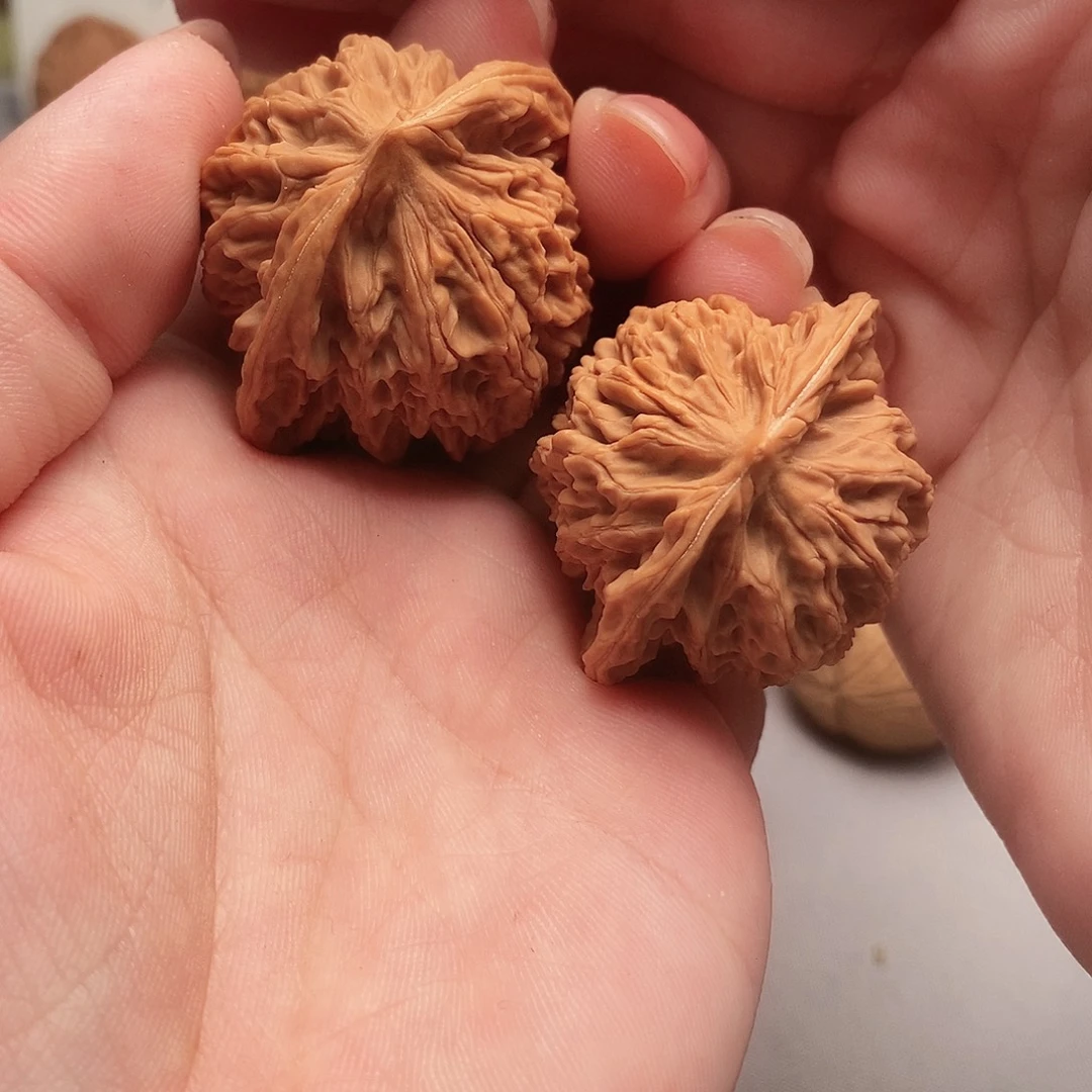 大叶紫檀（黑酸枝木类）盘龙纹