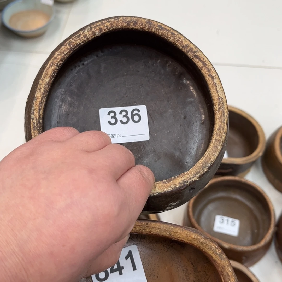 *****瓷片开播福利小钵336和841号