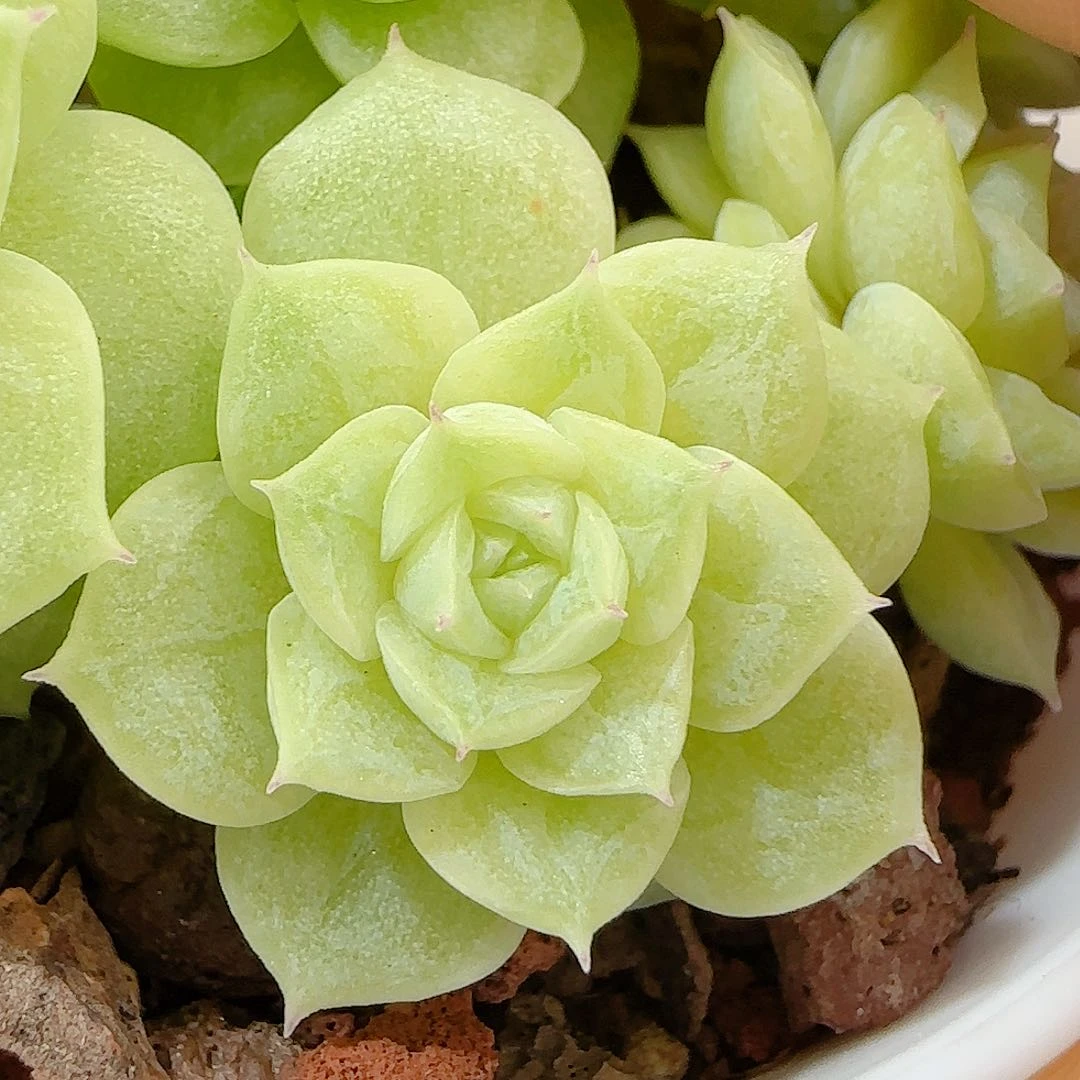 小***o【闪购商品】0626-93（m1-452-2）