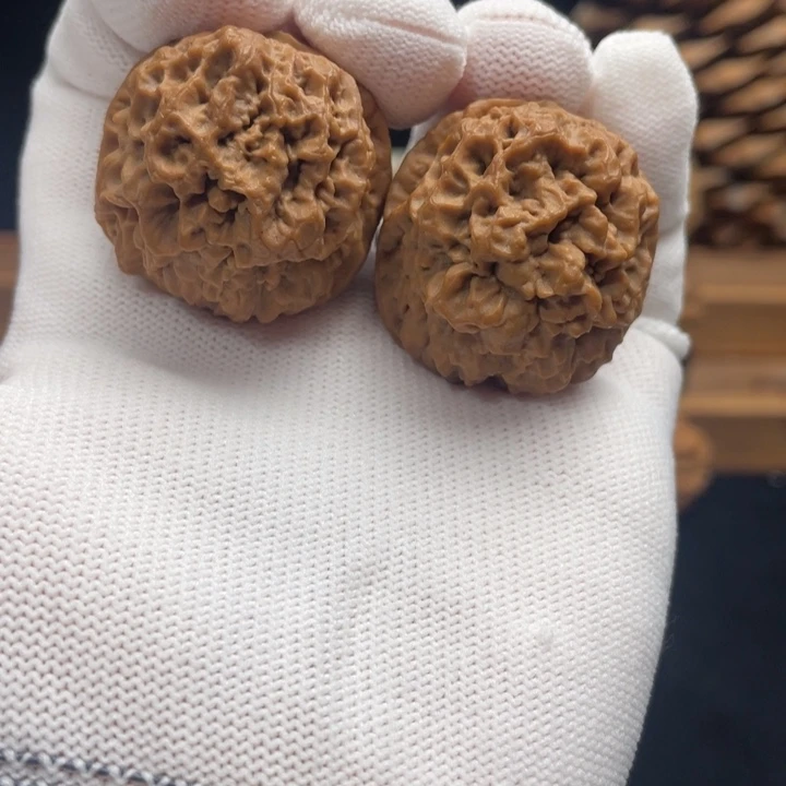 文玩核桃把件云南铁核桃4