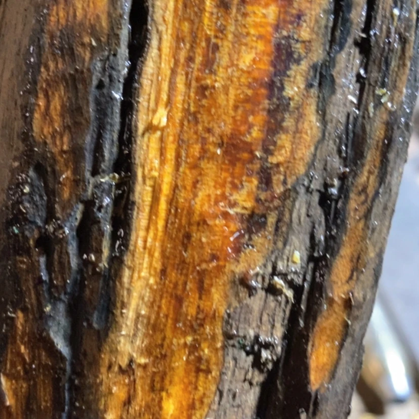 【闪购商品】把件贡木快****笑私人订制