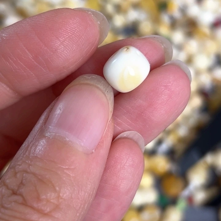 未镶嵌蜜蜡裸石9.1mm一个