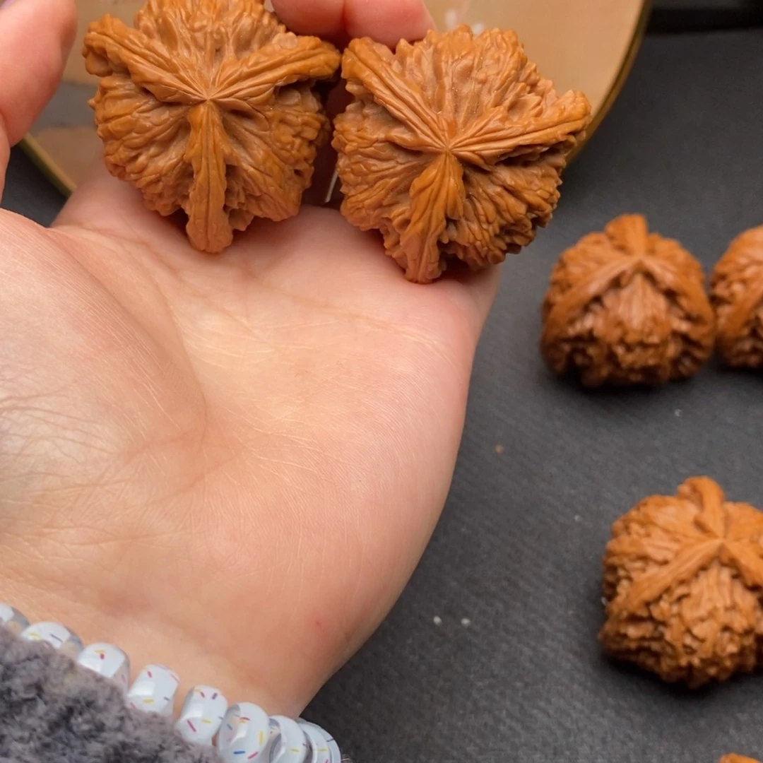 6****8白狮子1111111111