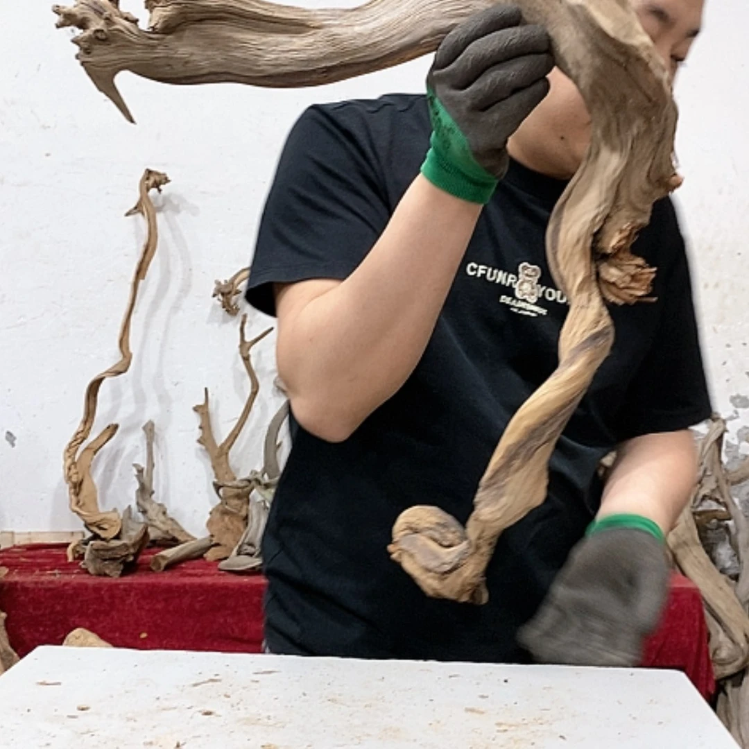 【闪购商品】柏木图*我们都是好孩子