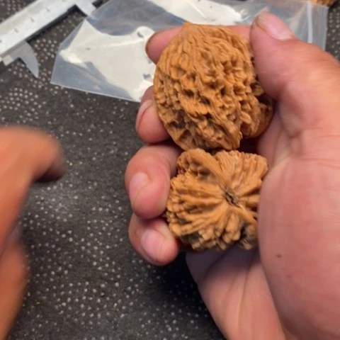 文玩核桃把件虎头1.1