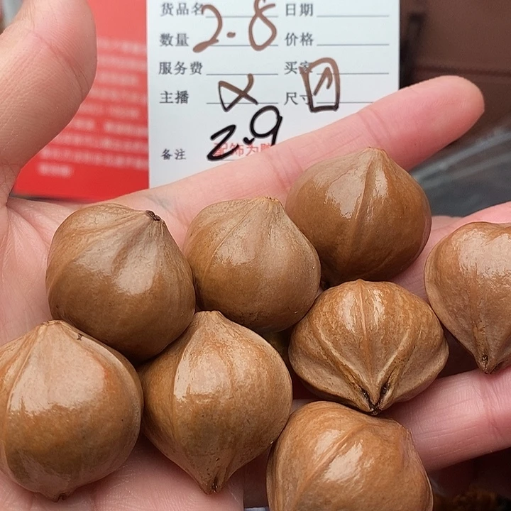 手串/手链橄榄核凛*