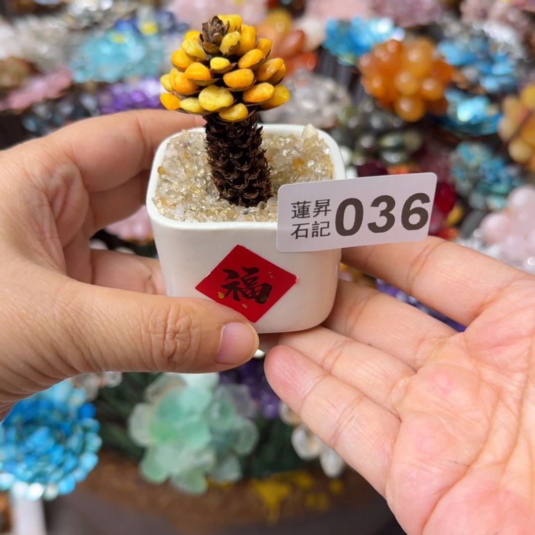 W***L核桃木/黑胡桃（胡桃木）036