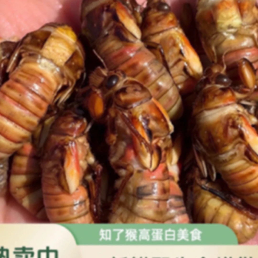 2025新鲜金蝉 知了猴爬叉50只 100只 200只 顺丰包邮 油炸爆香