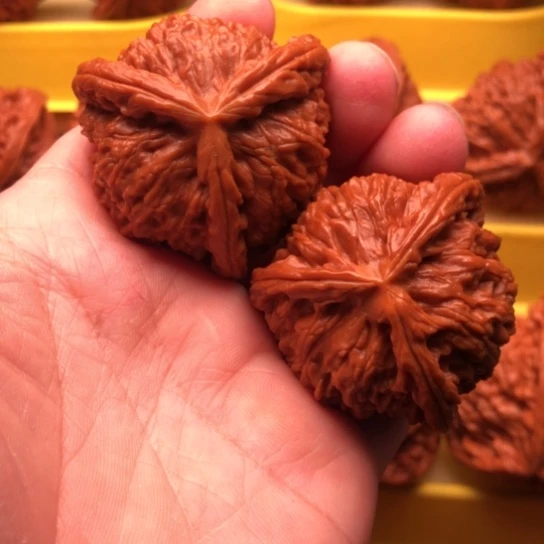 灿***猫核桃核桃核桃核桃核桃核桃