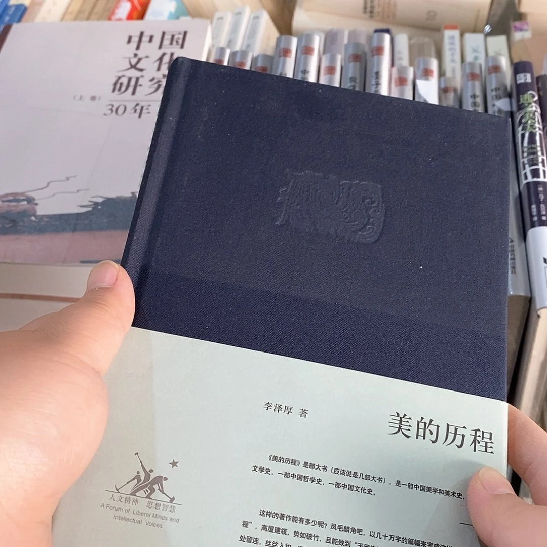 李泽厚 美的历程……