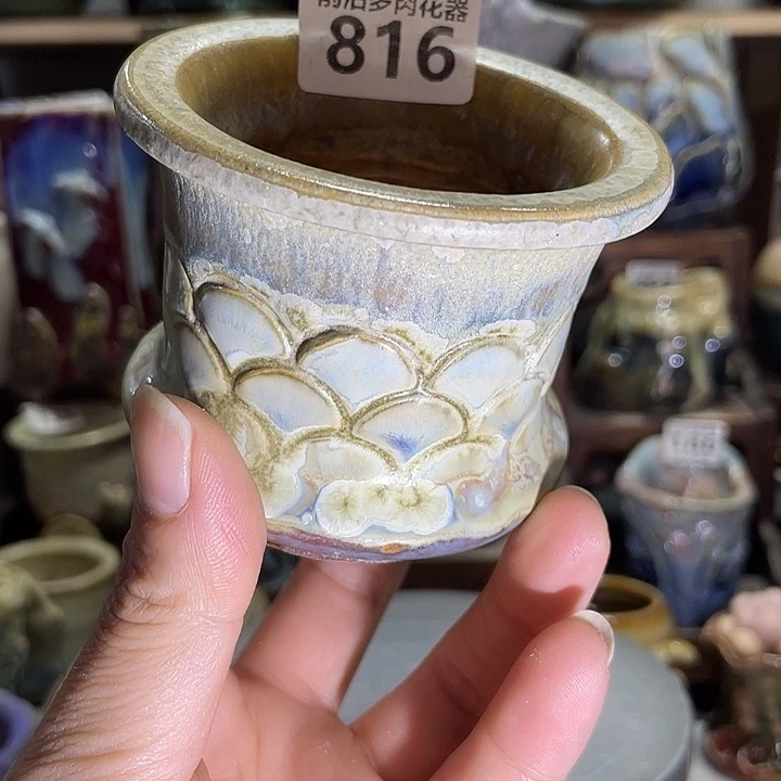 狼盆内口径6高度6