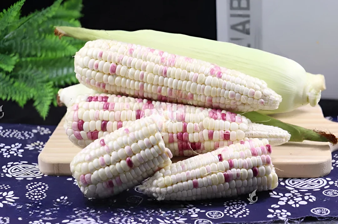 东北带皮甜糯花白玉米苞米现摘现卖5斤包邮东北特产