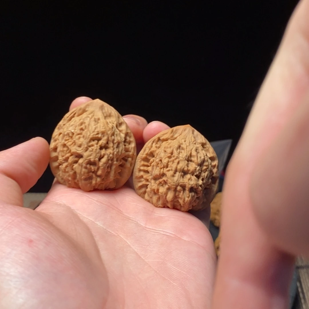 核桃等经济林果地的