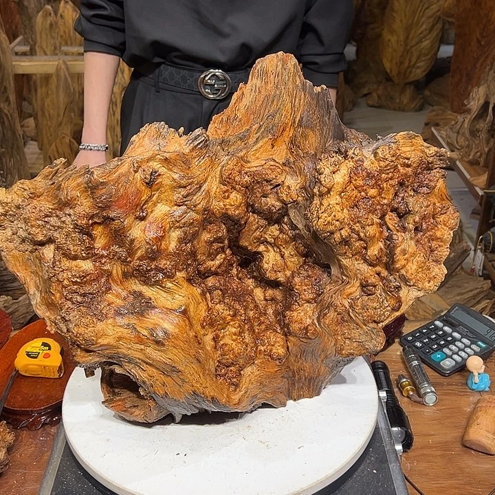 松木（琥珀木）雄*