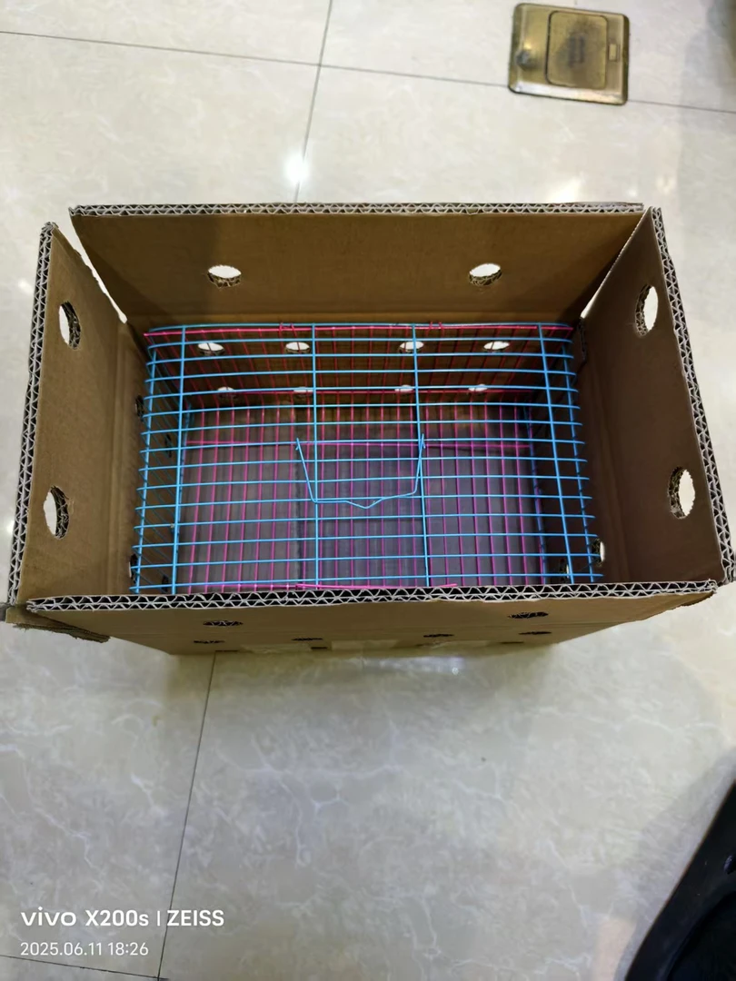 2025最新款  小黑  运输铁笼坚固结实耐用