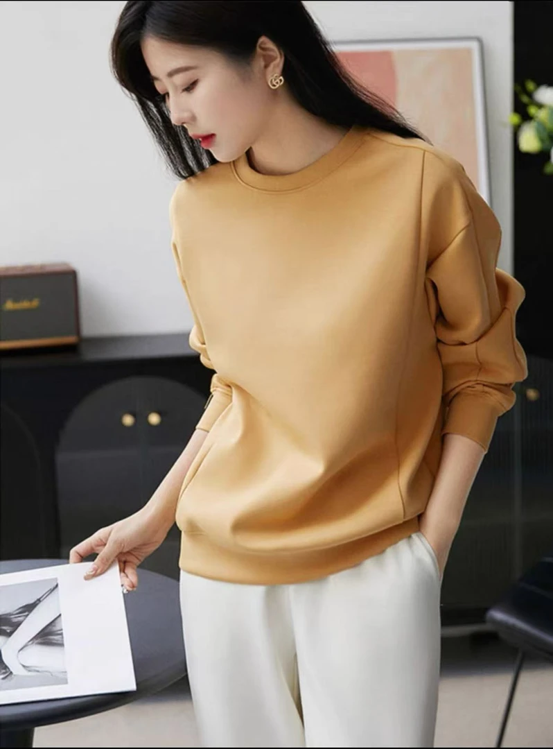 （清）新款基础风一体绒卫衣1993