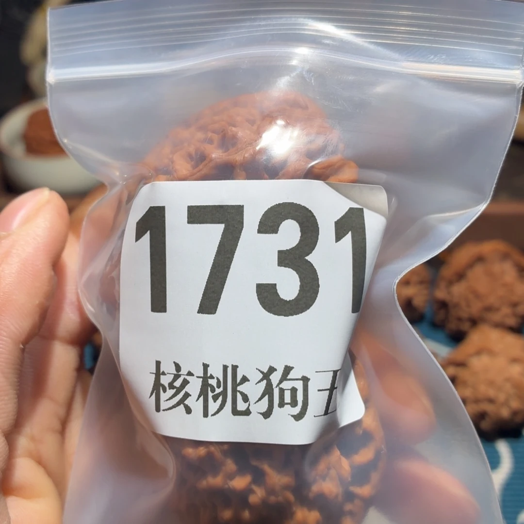 归***林核桃1731官帽红皮