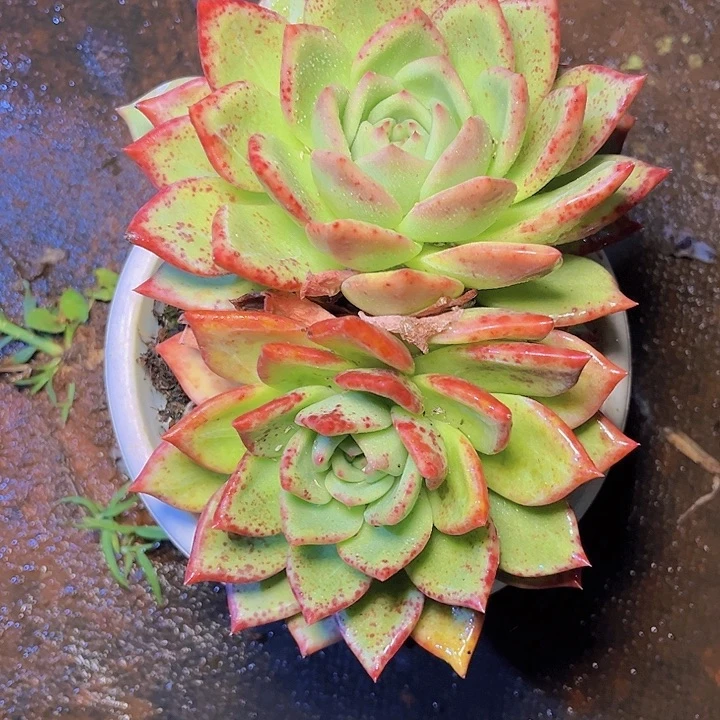 你不去上班就好哦你