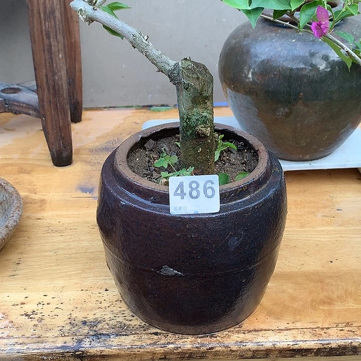 颈饰玻璃H*000486