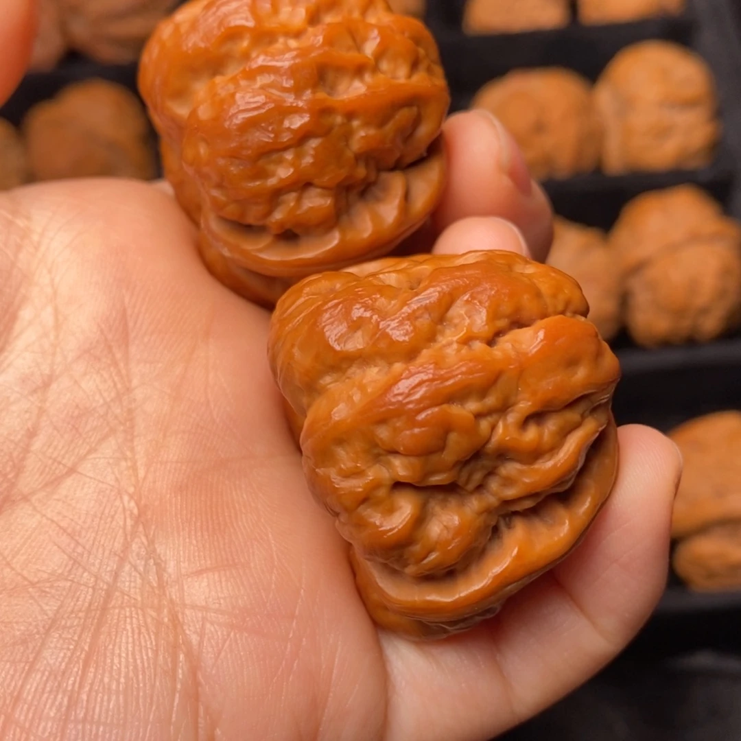 秦岭野生文玩核桃