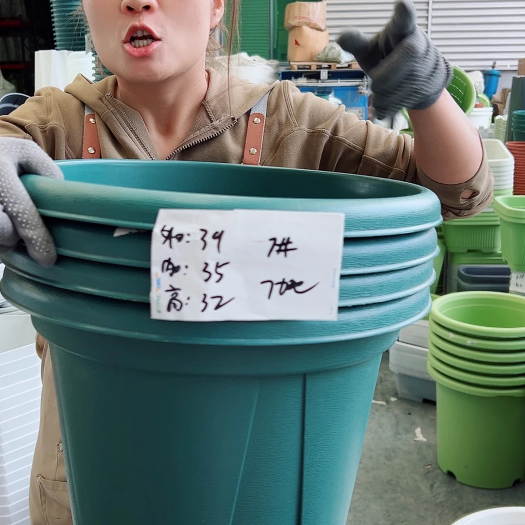 青山盆7#墨绿色5个无托