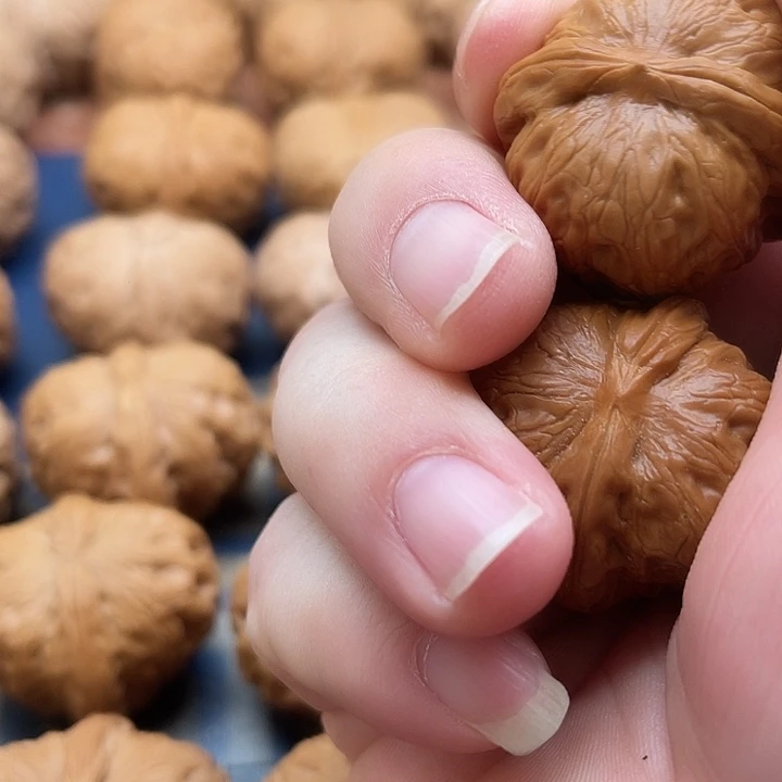 把件桃核王**.核桃34