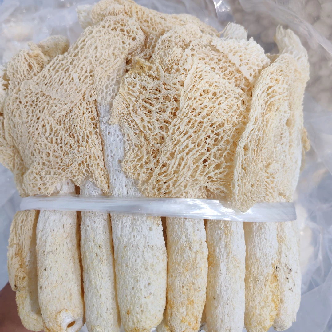 新货精品竹荪煲汤炒菜食用菌菇