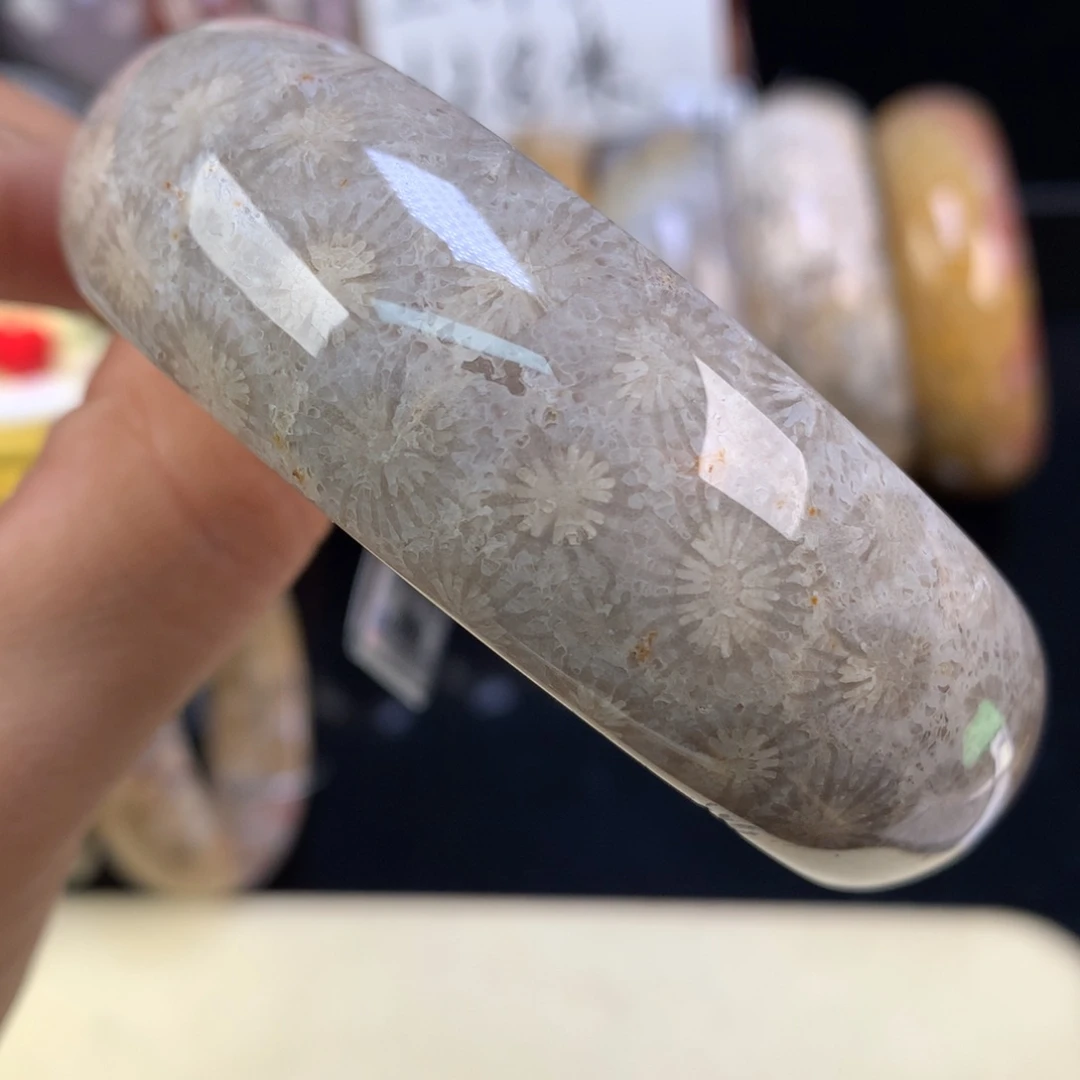 硅化珊瑚（珊瑚玉）未镶嵌吊坠(赠链)上新60圈（17号）