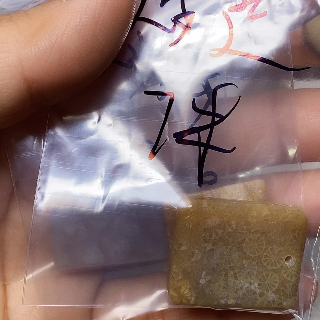 硅化玉颈饰未镶嵌大**?