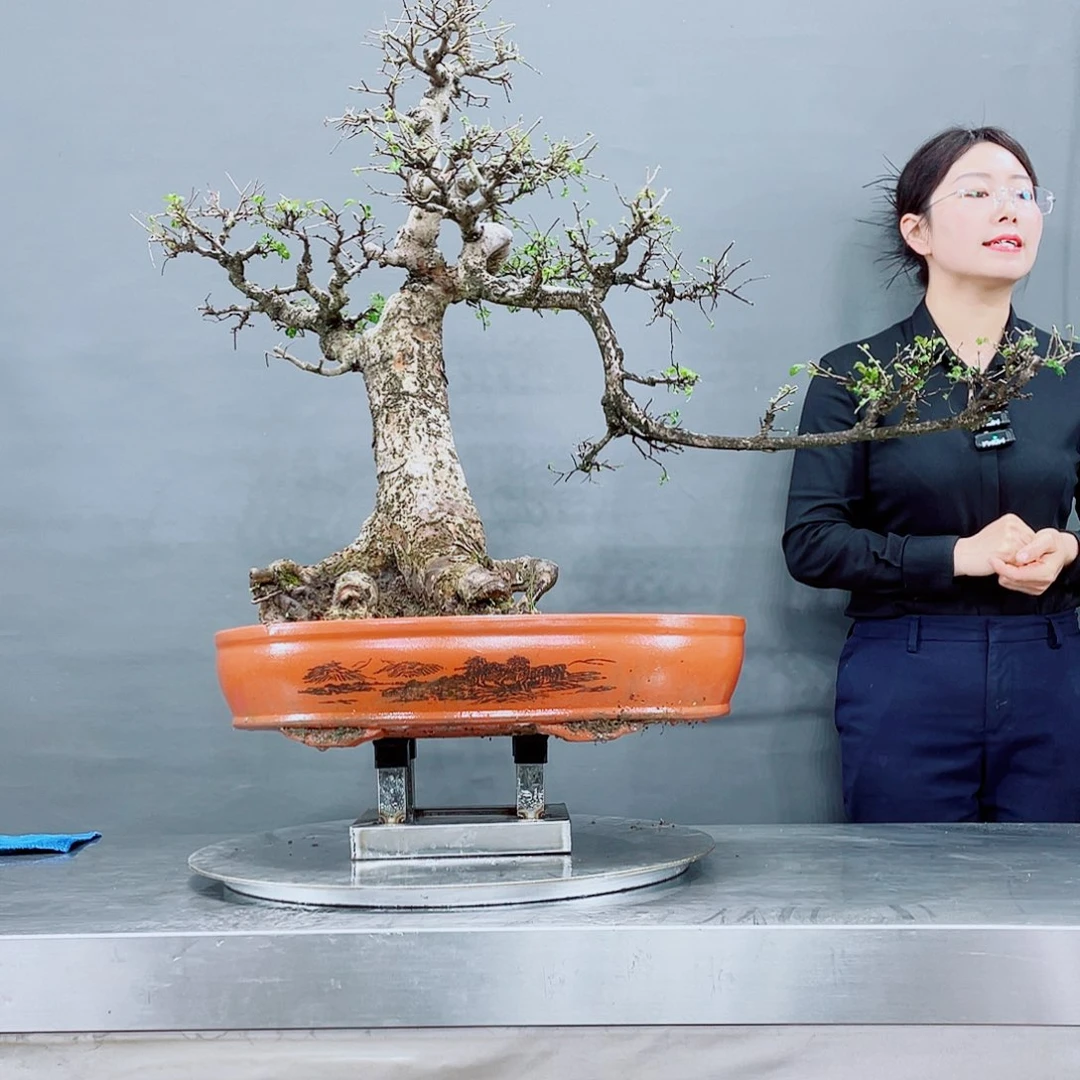 无铅玻璃岭南岭南文化艺术