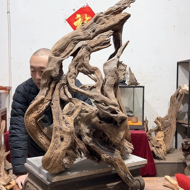 柏木不*示我们都是好孩子呀我