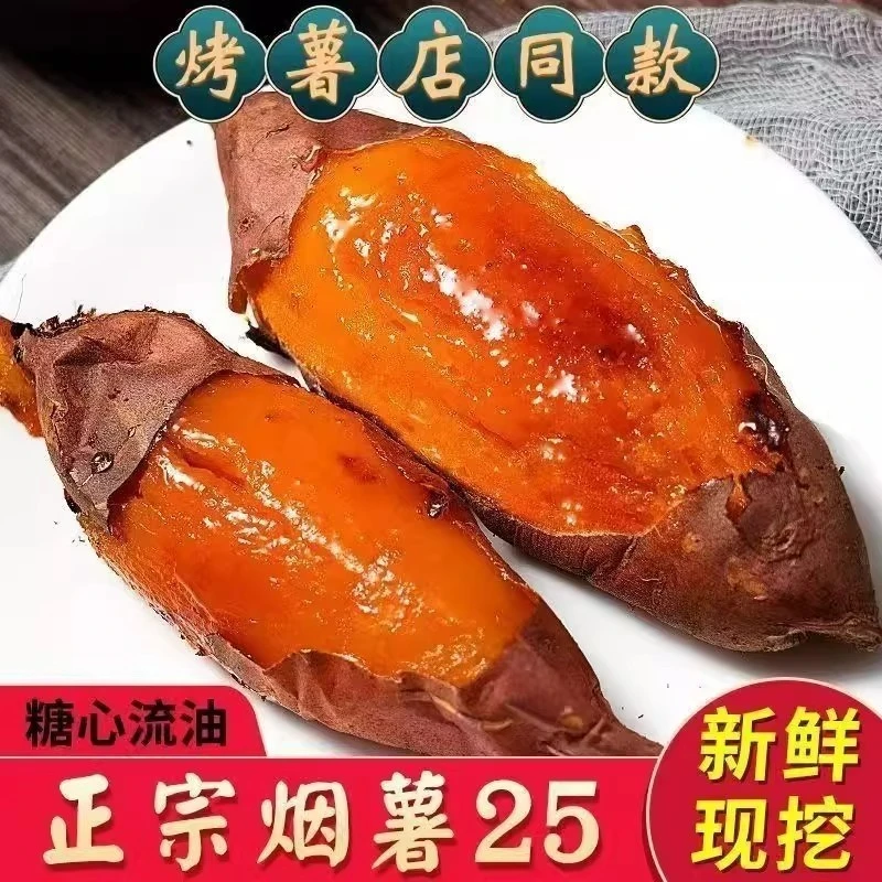 烟薯25号蜜薯糖心烤红薯新鲜农家自种地瓜5斤番薯蔬菜山芋