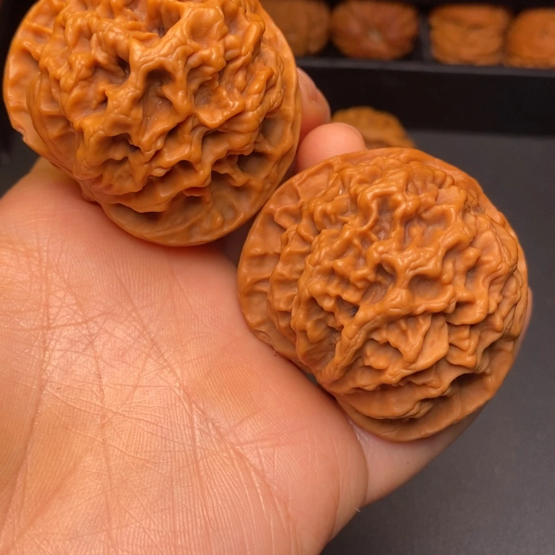 秦岭野生文玩核桃