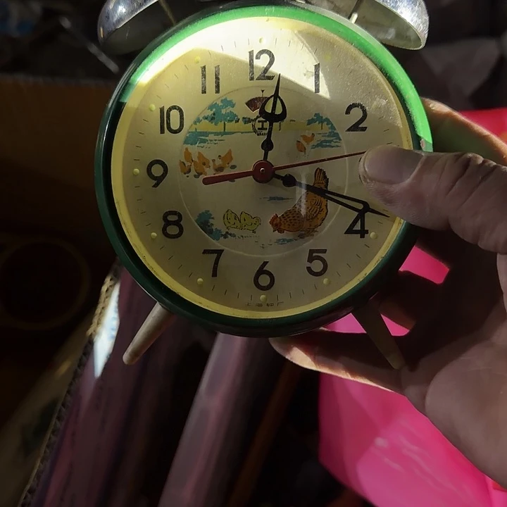 羊***～我也不知道我为什么