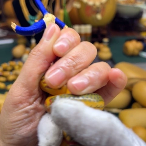 真**哥具体聊咯啦咯啦咯啦咯啦咯
