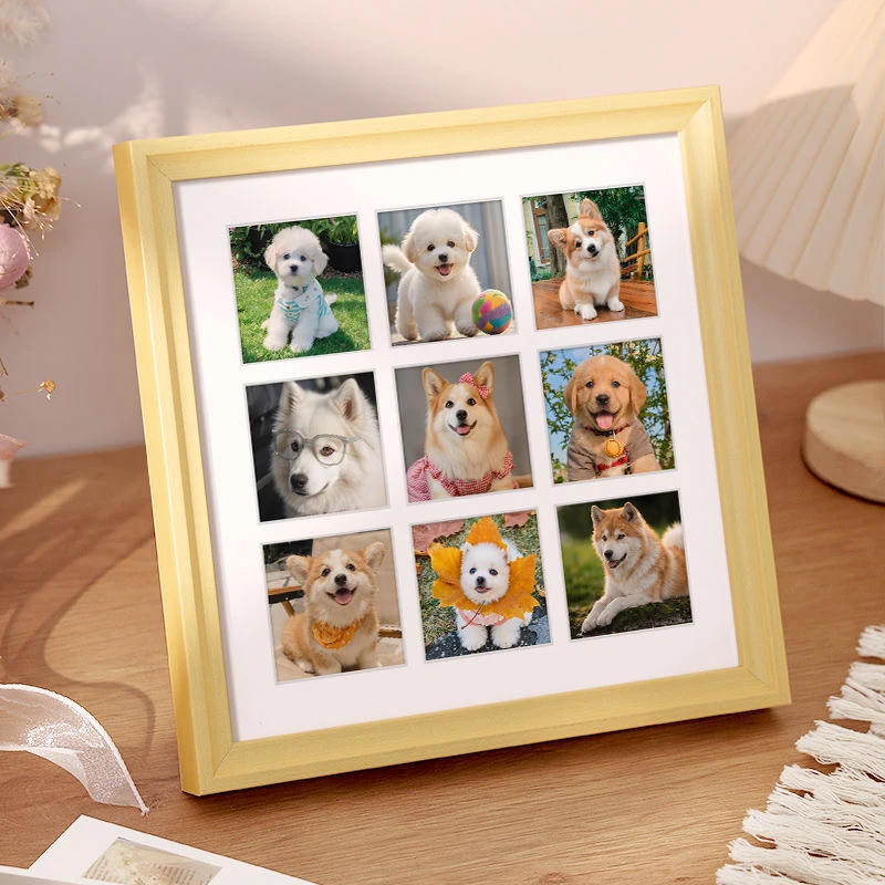 相册定制，拍前联系客服